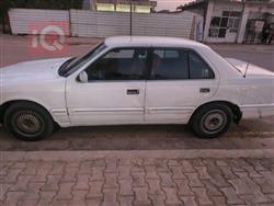 كيا بوتينشيا